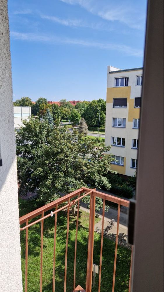 Mieszkanie do wynajecia po zupełnym remoncie