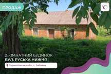 2-к. будинок 50 м2 та земельна ділянка 20 сотих за вул. Руська Нижня