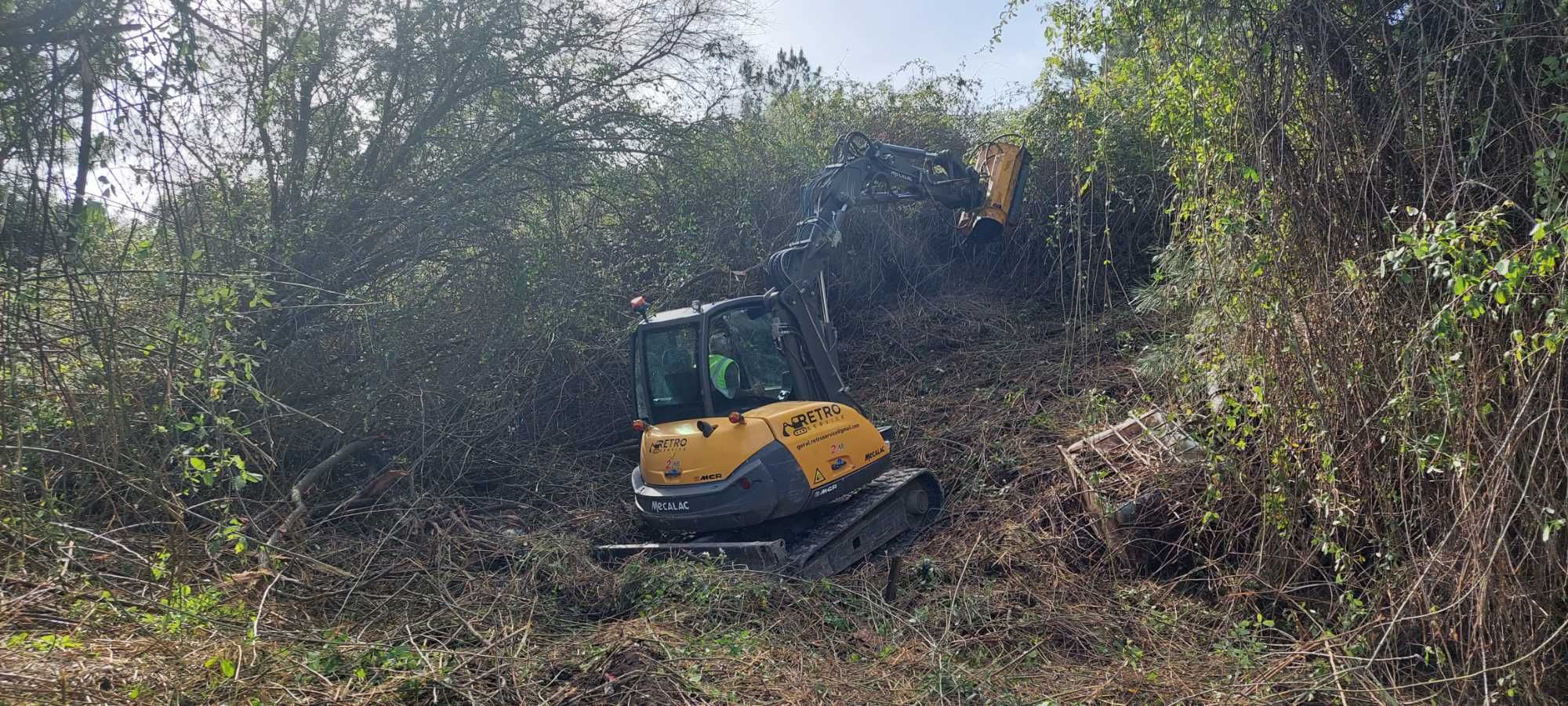 Limpeza e desmatação de terrenos