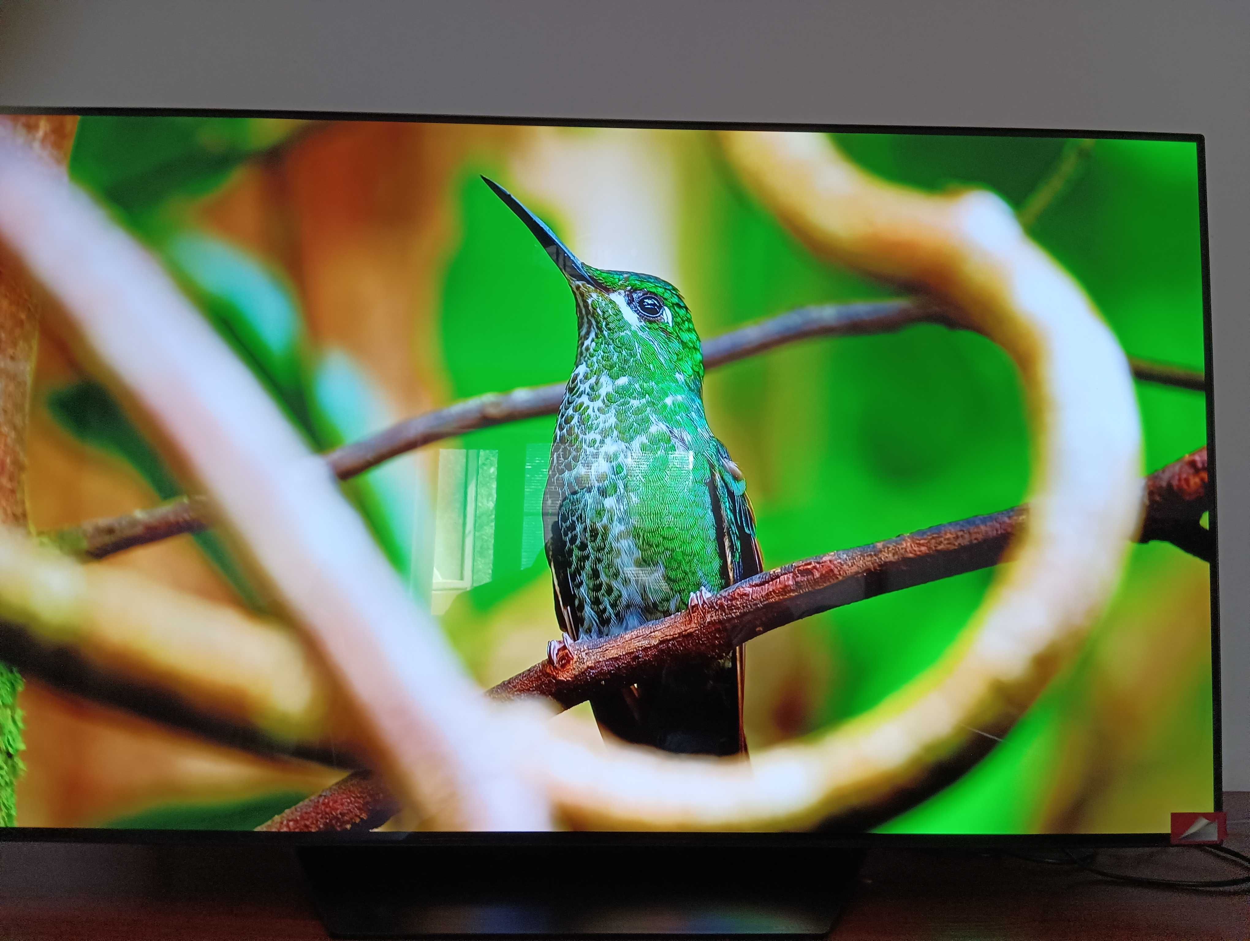 Телевізор LG OLED55BX