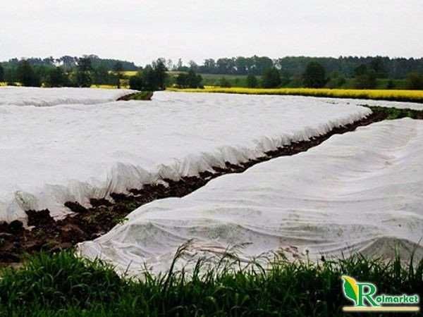 Agrowłóknina biała okryciowa wiosenna 1,6x100m 23g WŁÓKNINA zimowa