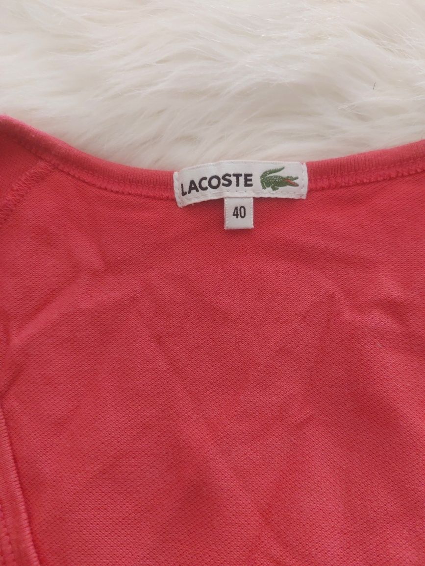 Camisola lacoste