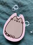 Szczotka do włosów Pusheen
