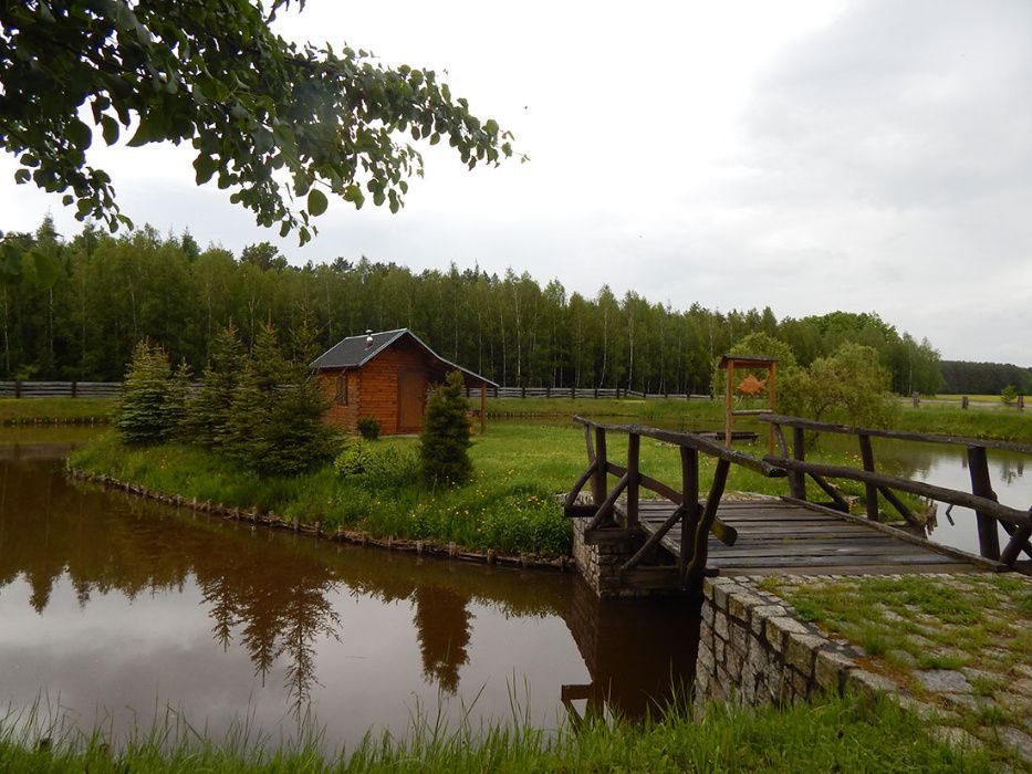 Noclegi Janów Lubelski, Momoty