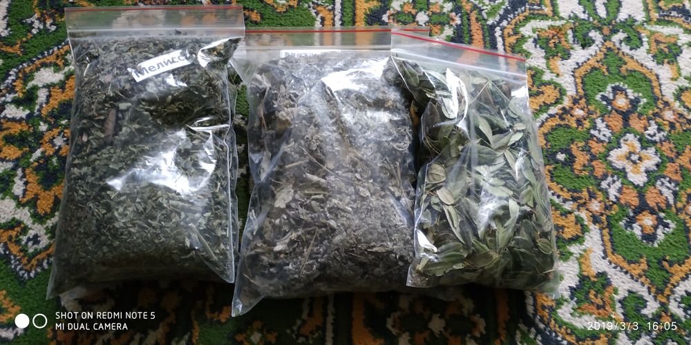 Продаю  віникі для бані дуб - і береза , рвзні трави ,коріння п'ятипал