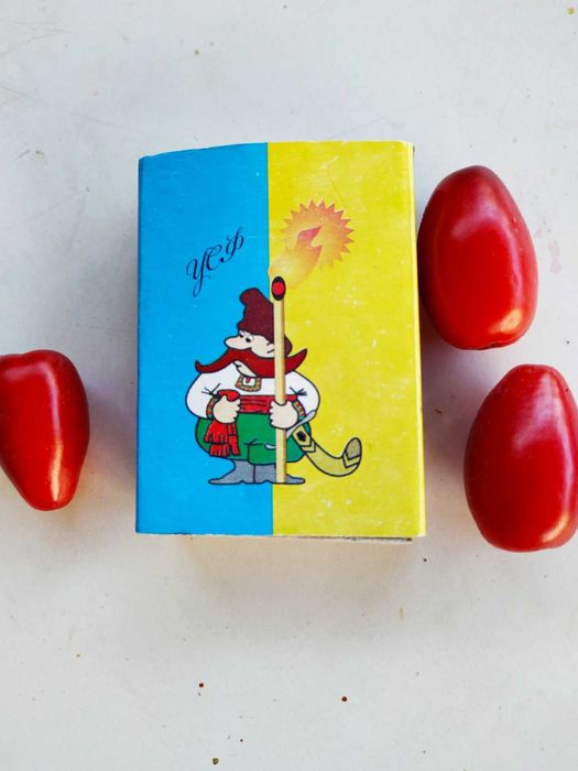 Саженцы кизила сортового