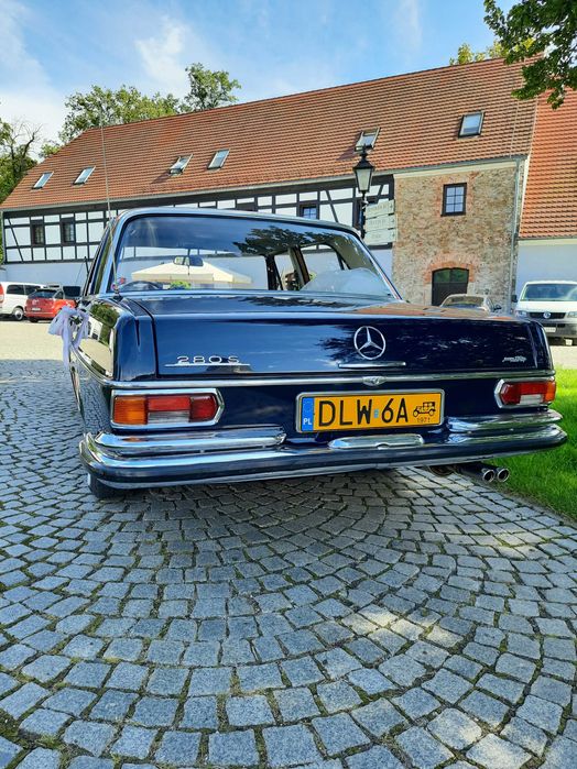 Auto samochód do ślubu zabytkowy Mercedes retro