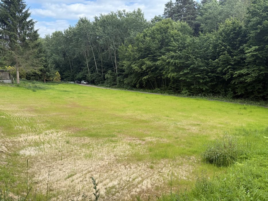 Działka budowlana 2831 m2, Nałęczów, prywatnie