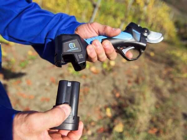 Tesoura Elétrica Campagnola SPEEDY 25mm - NOVA