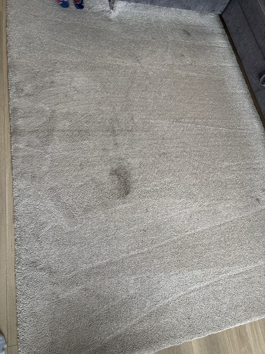 Dywan z krótkim włosiem