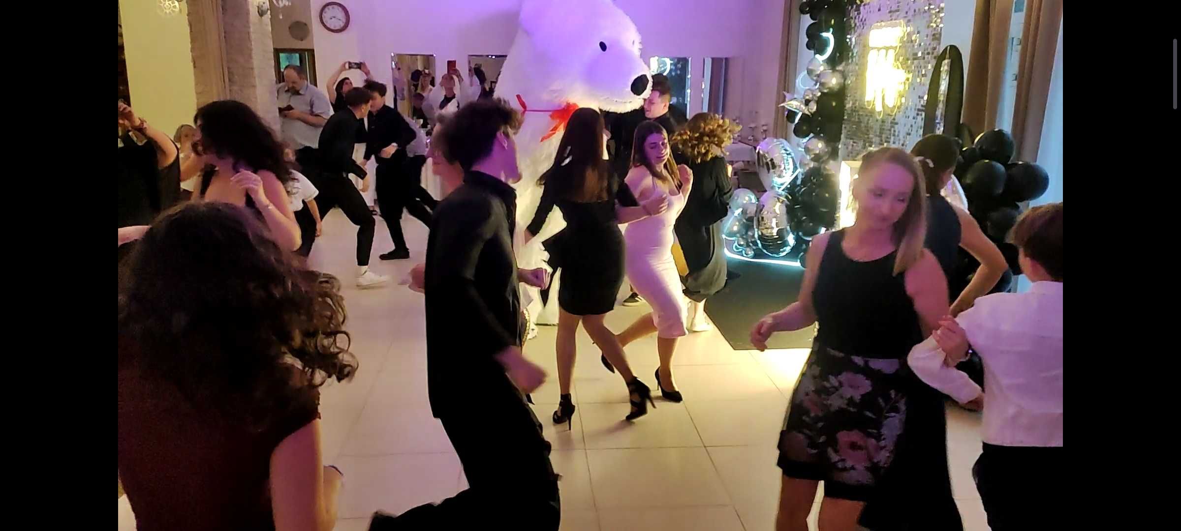 Dj Alex na imprezę urodziny osiemnastkę wesele sylwestra karaoke