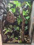 Terrarium tropikalne 60x40x100 powiększona wentylacja kameleon