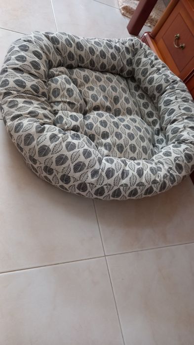 Vendo caminha para cão