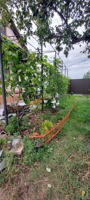 Продам дом дачу жилую в Ермолаевке, Подгородном,  река рядом