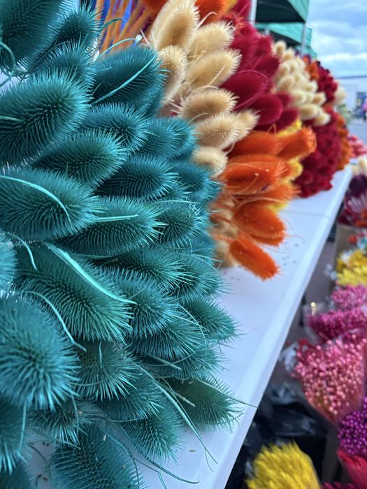 Suszki, suszone kwiaty, komponenty do bukietów, boho