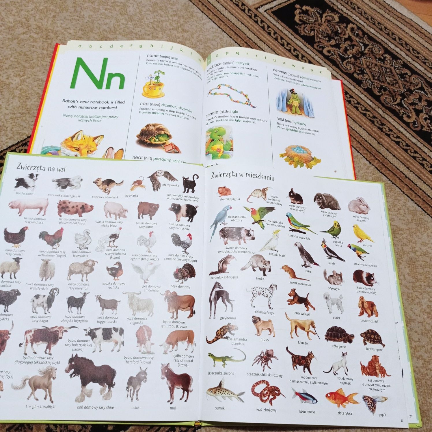 Książki edukacyjne dla dzieci. Angielski i Encyklopedia zwierzęta