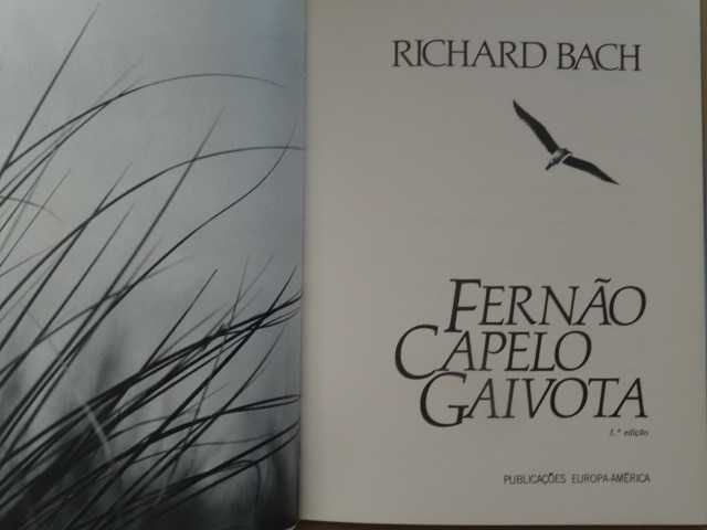 Fernão Capelo Gaivota de Richard Bach