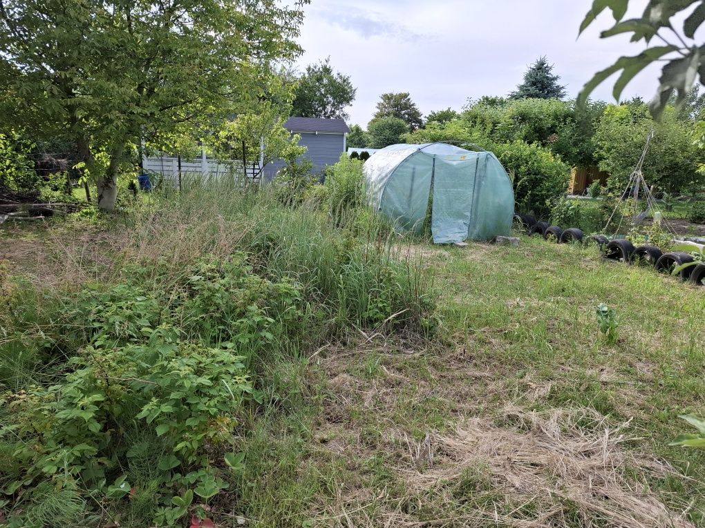 Działka ROD 60  Stefana Żeromskiego 350 m2