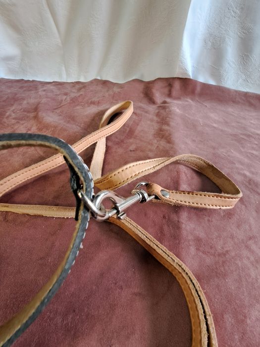 Nowa smycz dla psa 24