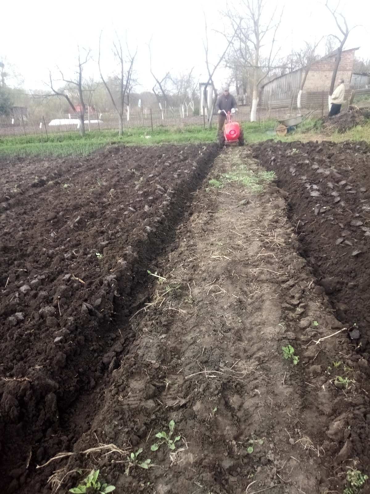 Плуги до мотоблока Мотор- Січ .МТЗ.та Китайських. Міні мотоблоків