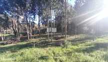 Terreno para venda, Âncora, Caminha