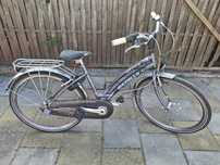 Rower Gazelle Whale 26