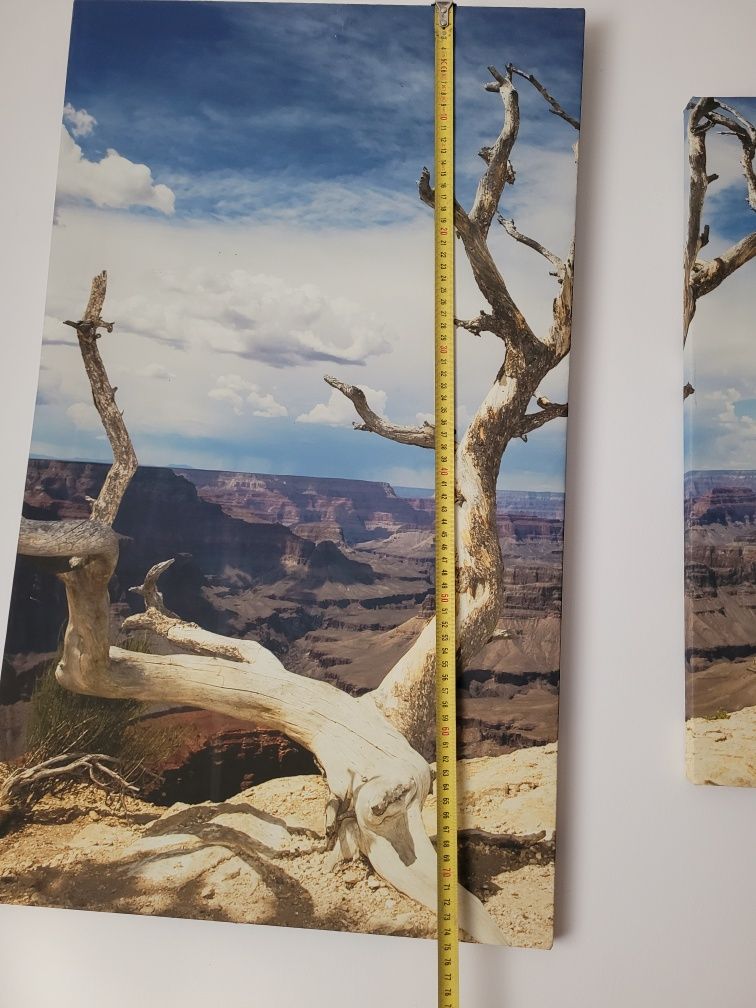 Obraz w częściach drukowany drzewo, krajobraz, Wielki Kanion