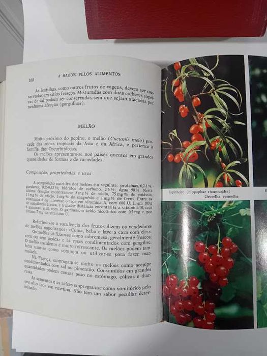 2 Livros de Saúde Tratamentos Naturais e Saúde Pelos Alimentos