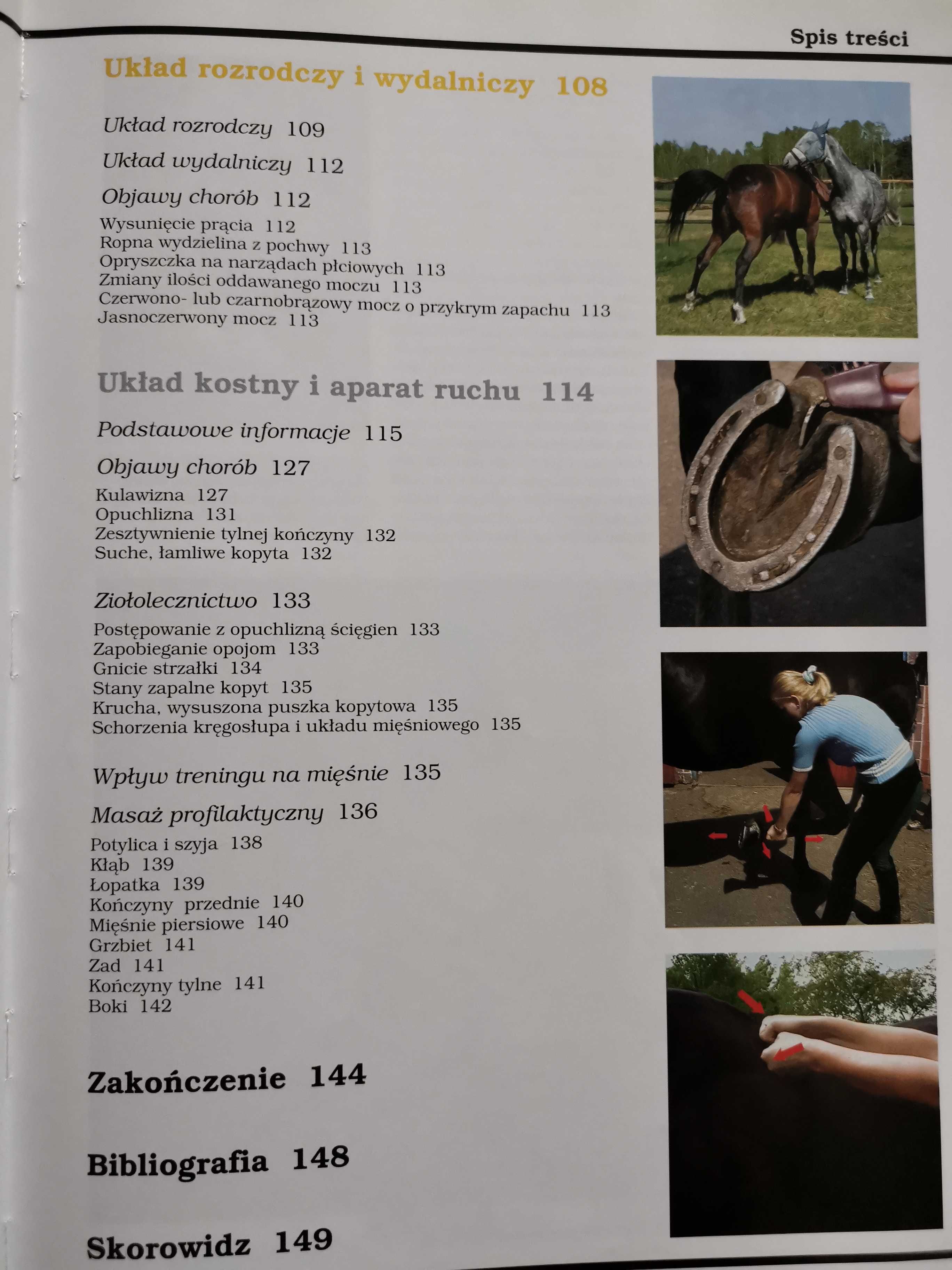 Koń zdrowy jak. Bożena Urbaniak-Czajka