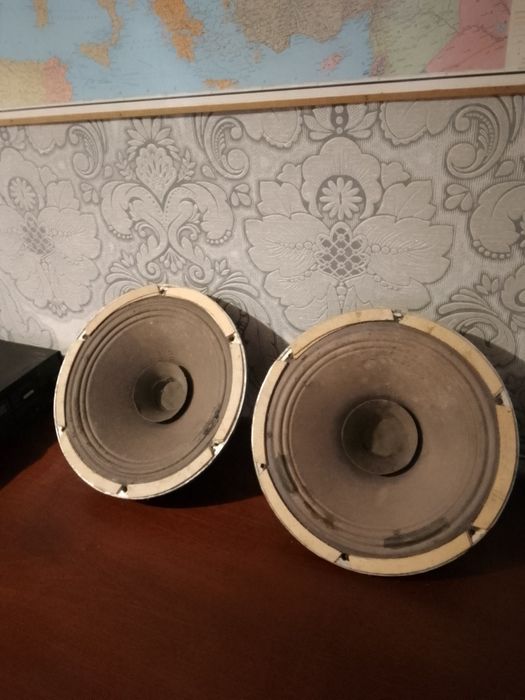 Динамік ще совєтської епохи 30 ГД 301
