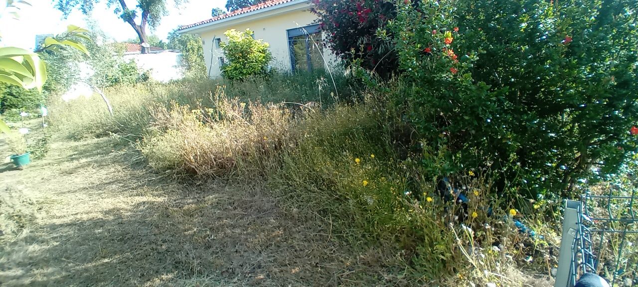 Limpeza de terrenos,  quintais, jardins
