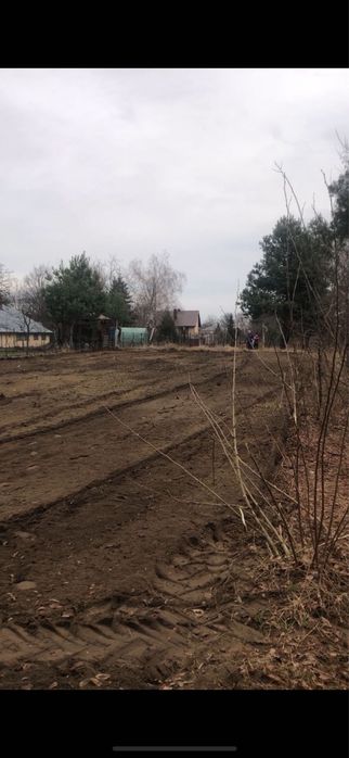 Mulczer Leśny Wycinka Drzew Frezowanie Pni