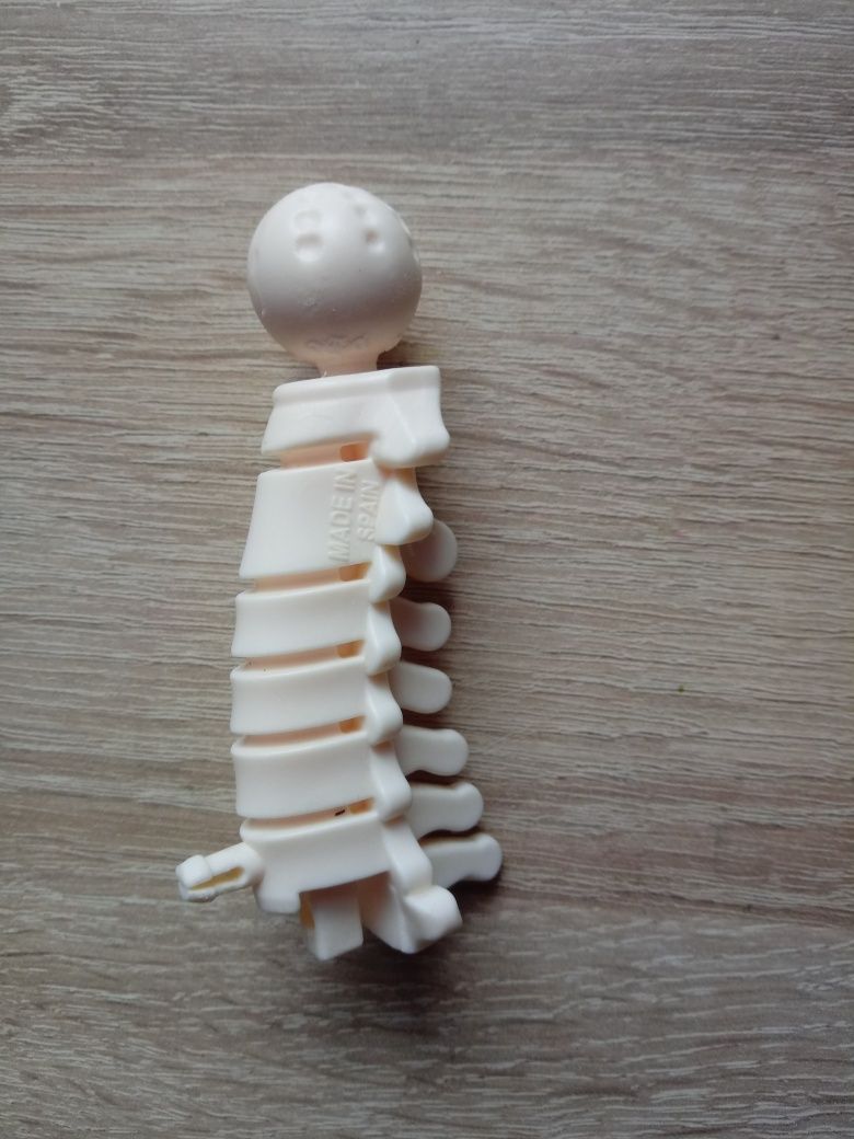 Kręgi szyjne kostek szkielet ciało człowieka Tajemnice ludzkiego ciała
