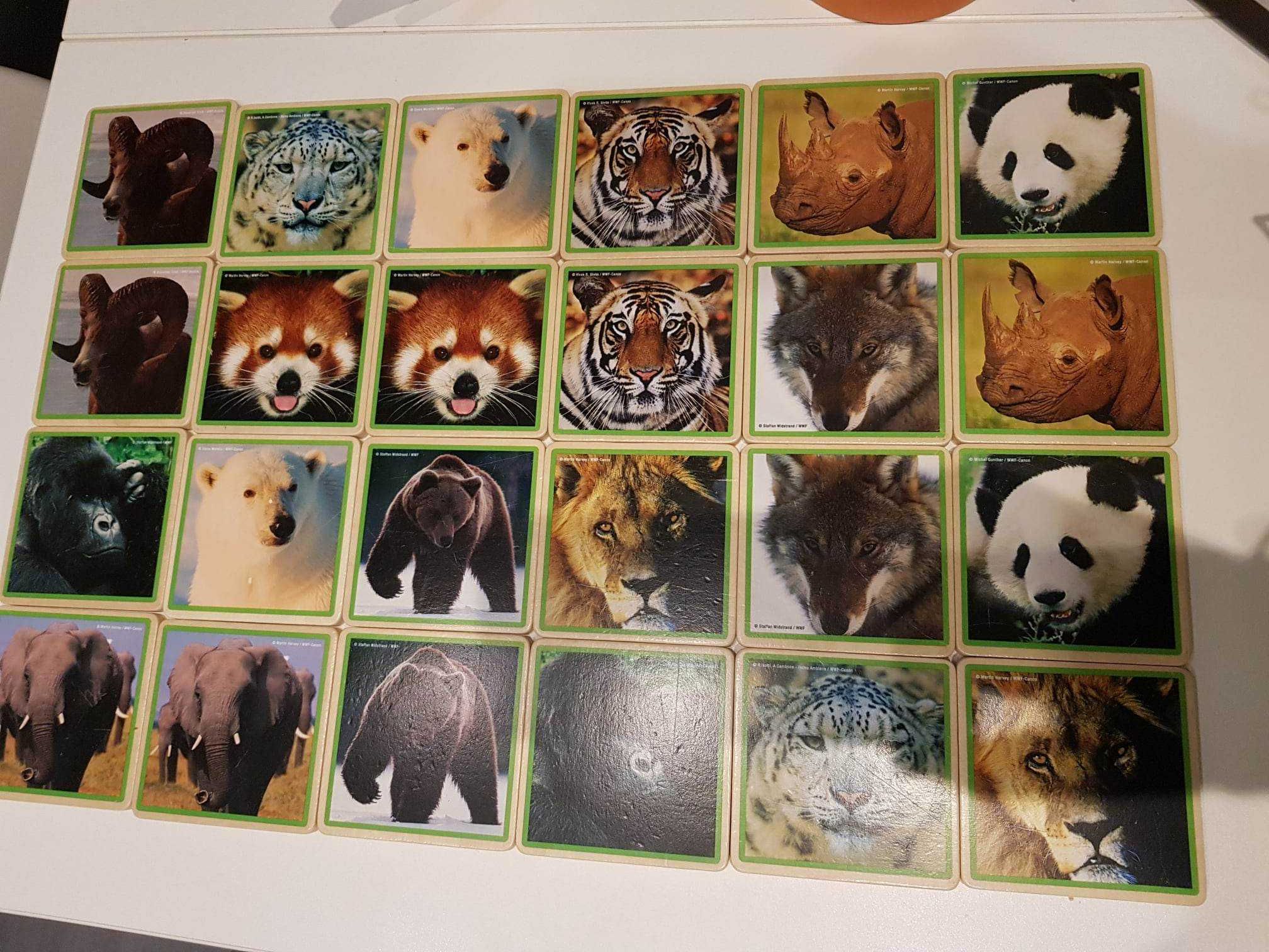 drewniane memory zwierzęta WWF Mammals Memory Game