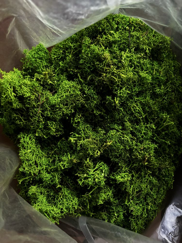 Mech chrobotek spring green 1,5kg
