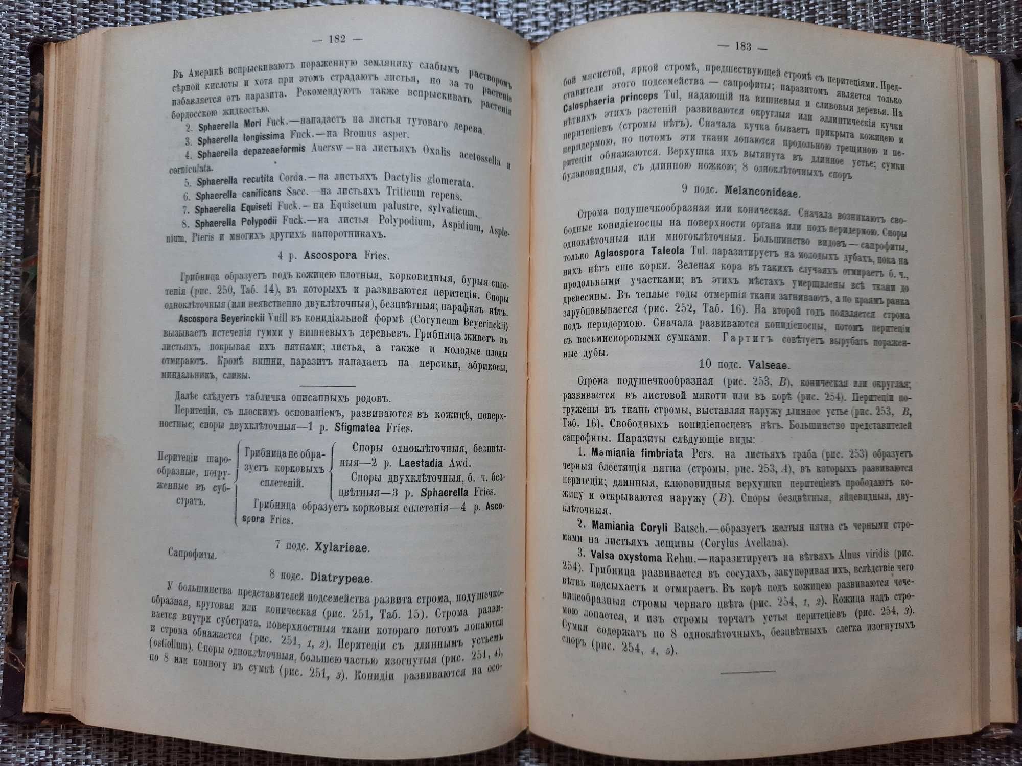 Старинная книга Болезни и повреждения растений 1899 г.