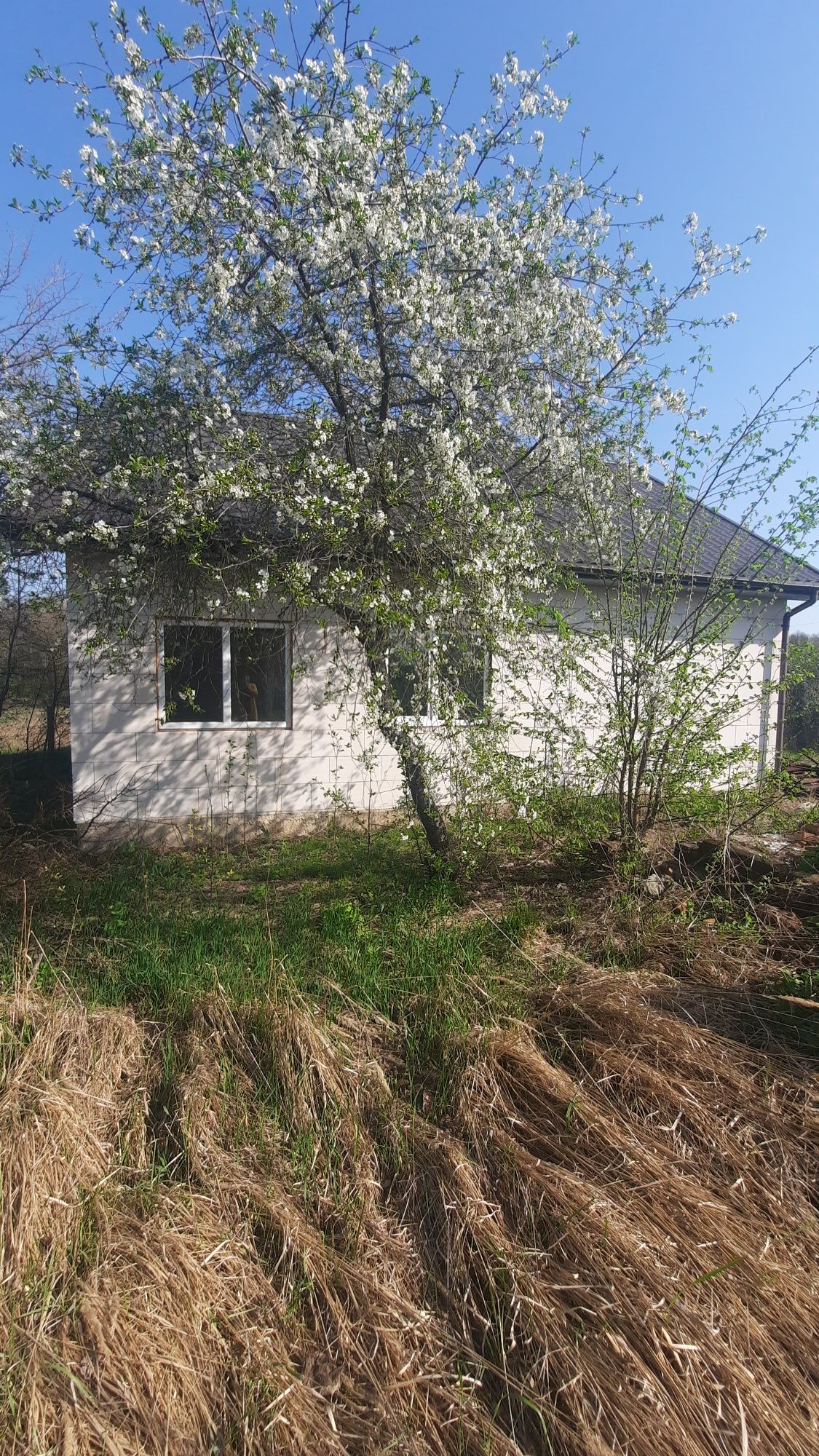 Продаж будинку в селі Залишани, Вишгородський район, 25 соток землі!