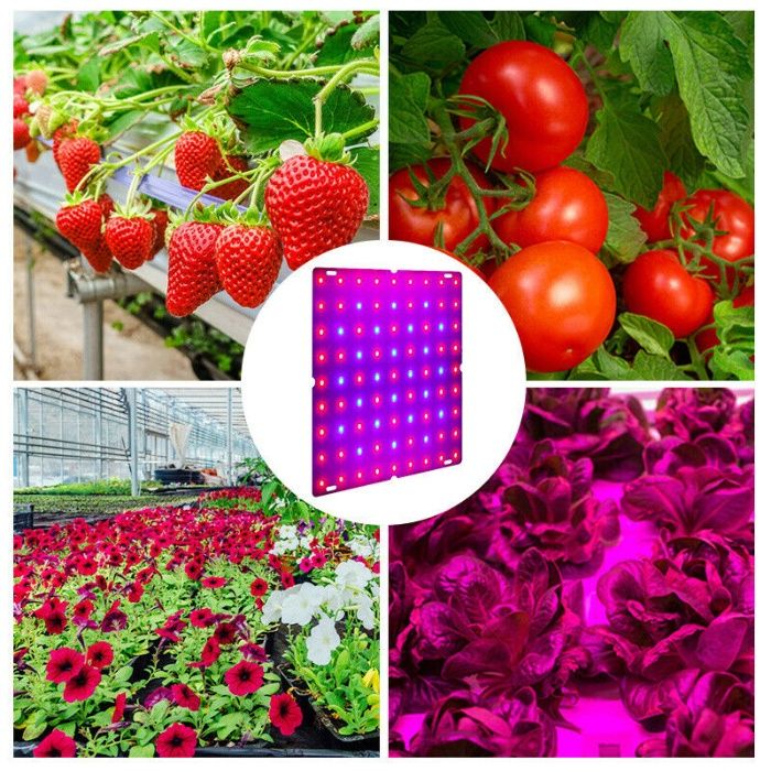 169 Led Grow Light para plantas crescimento rápido