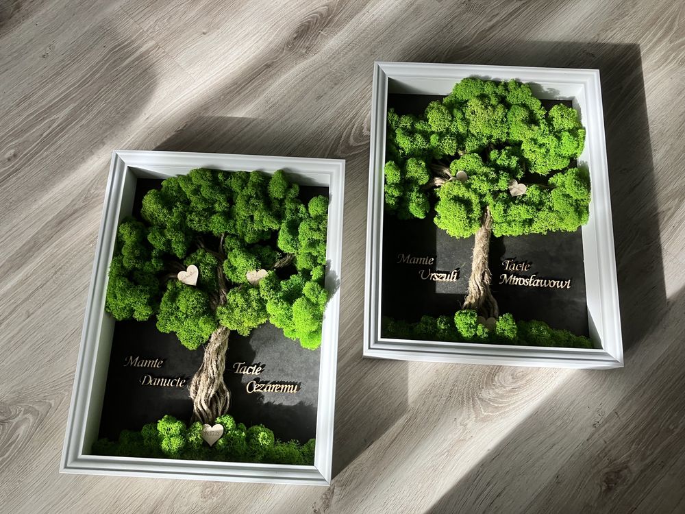 Drzewko z mchu stabilizowanego obraz 3D dzień mamy urodziny prezent