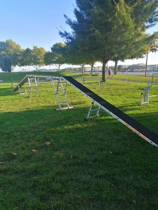 Pista completa de competição de agility