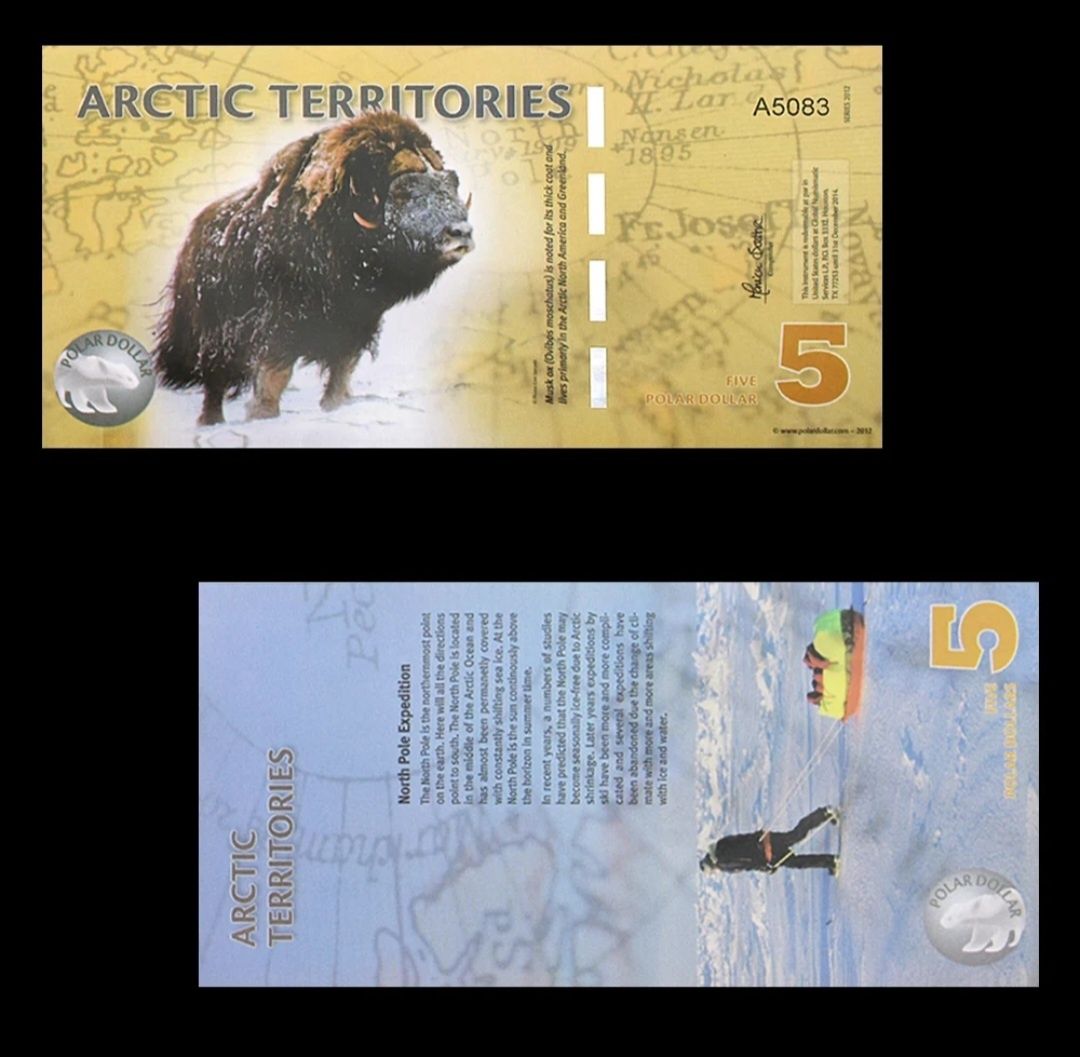 Polimerowy banknot Grenlandia 5 dolarów Arktycznych nowy