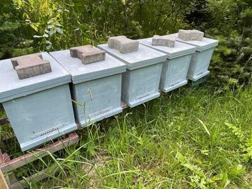 Odkłady pszczele 5 ramkowe Wlk lub Alipol