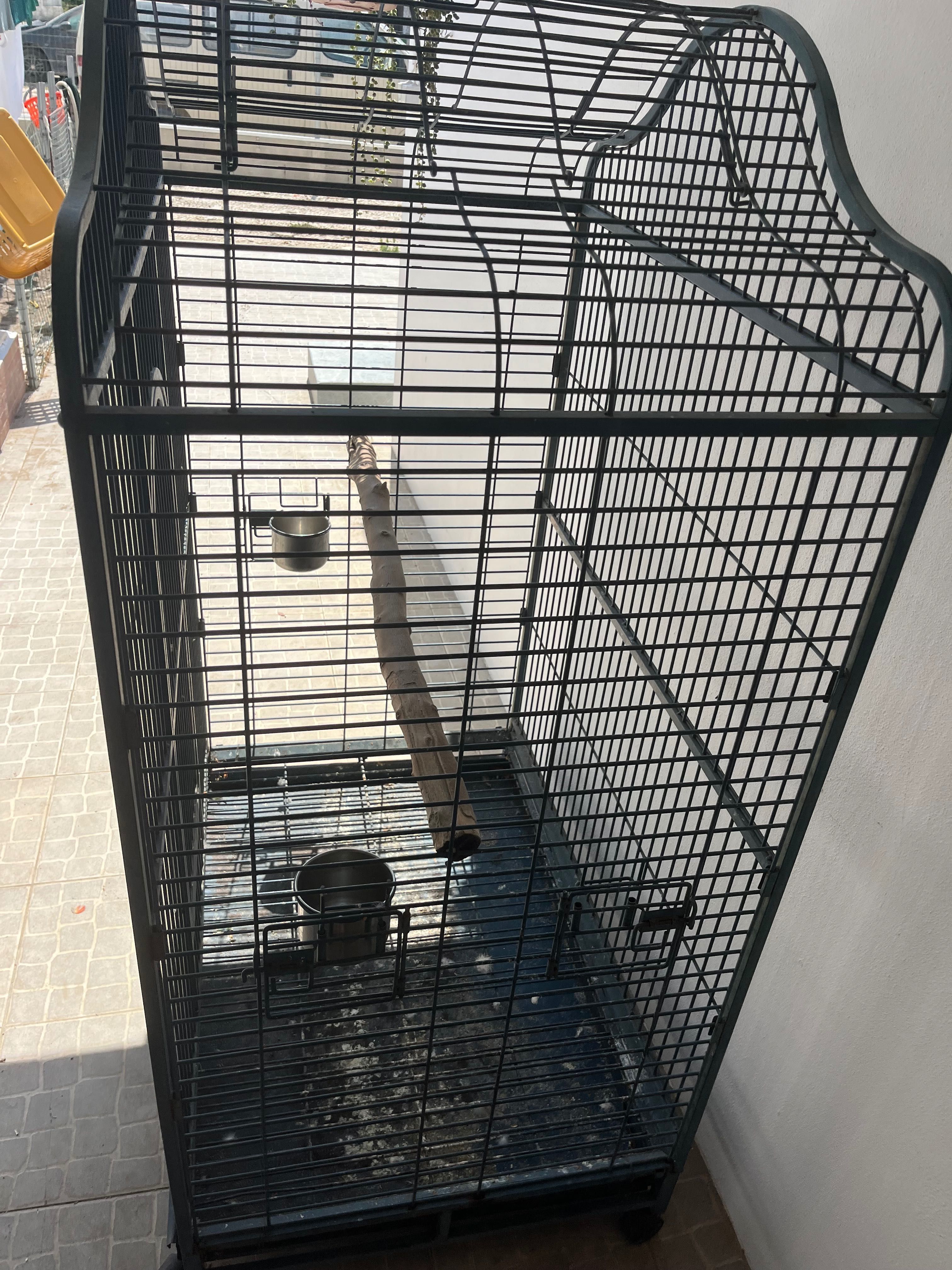 Vendo gaiola papagaio