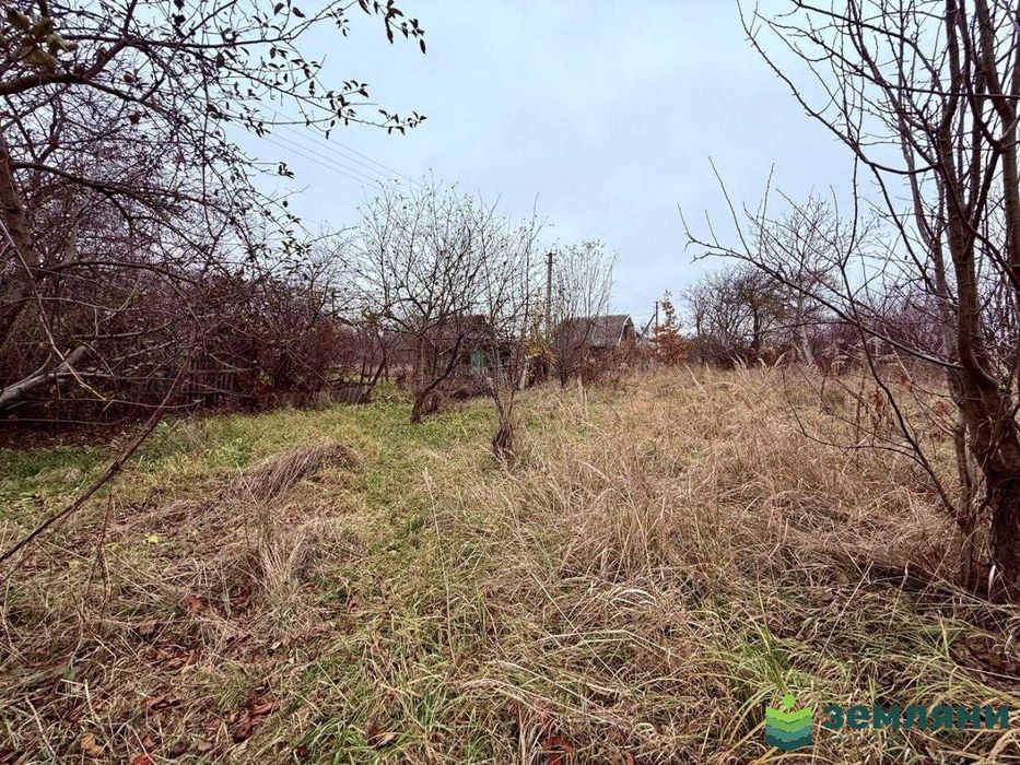Продається дачна ділянка у с. Хриплин (7)