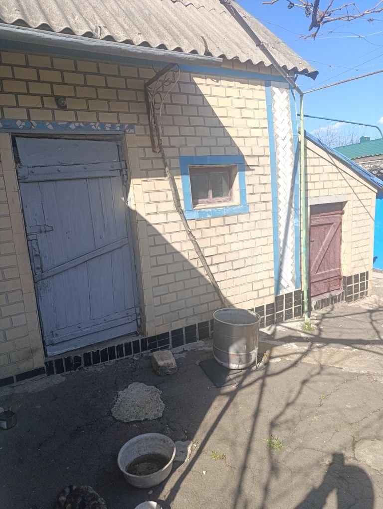 Хата в м. Тальне