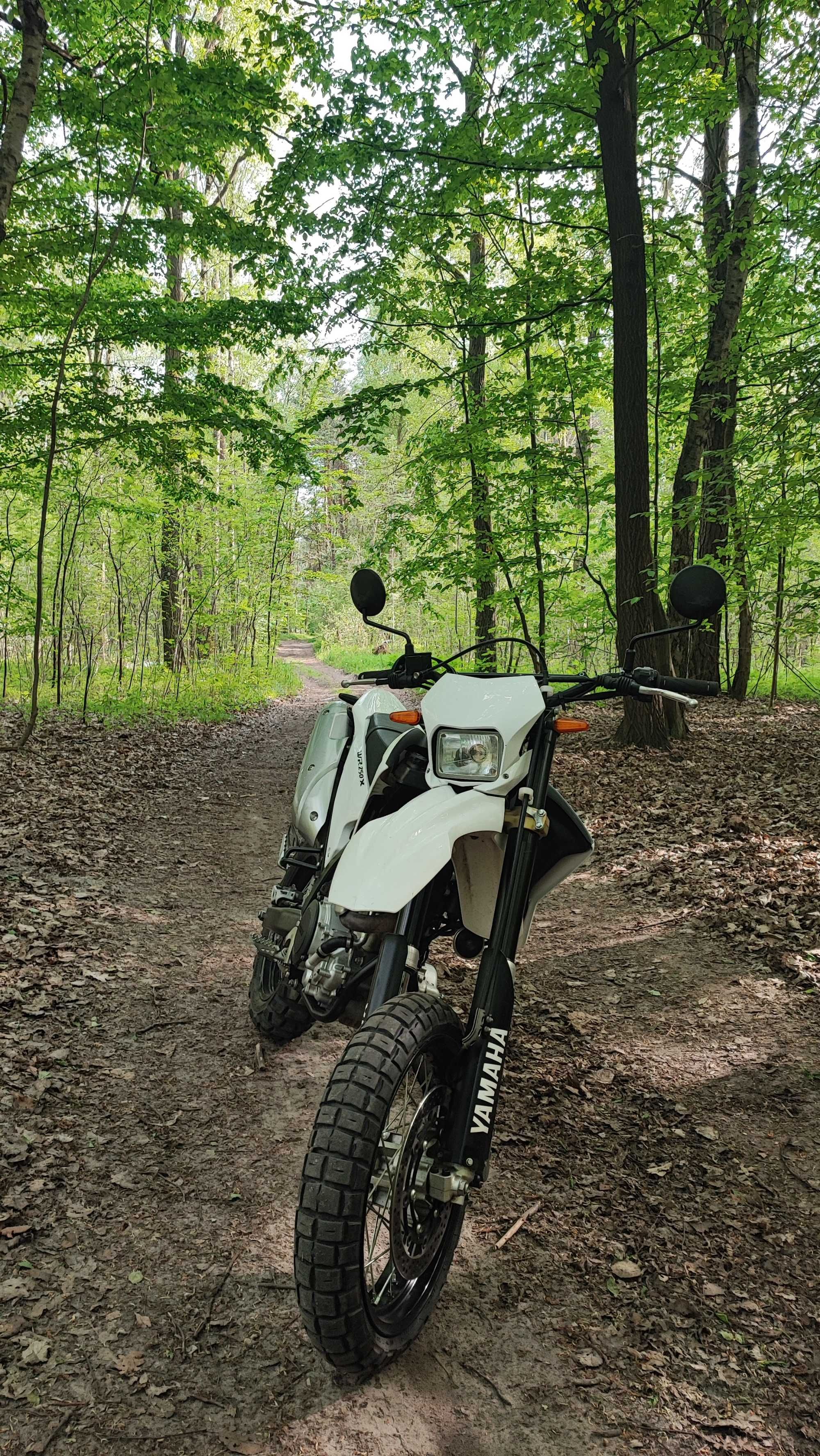 Yamaha  WR 250 X