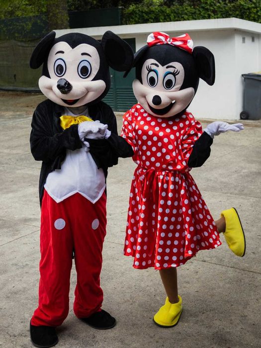 Pinturas Faciais - Festas de Spa - Mascotes