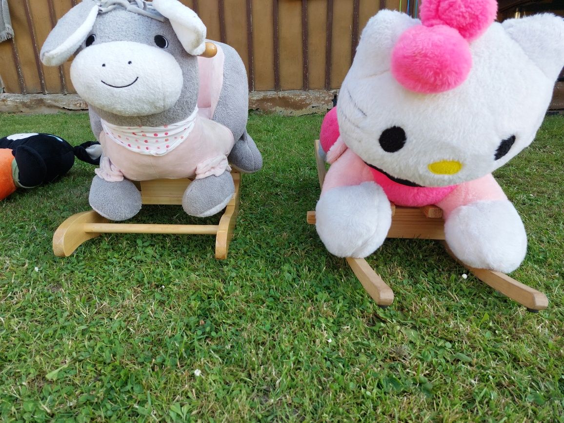 Bujak hello kitty