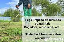 Faço limpeza de terrenos e quintais...