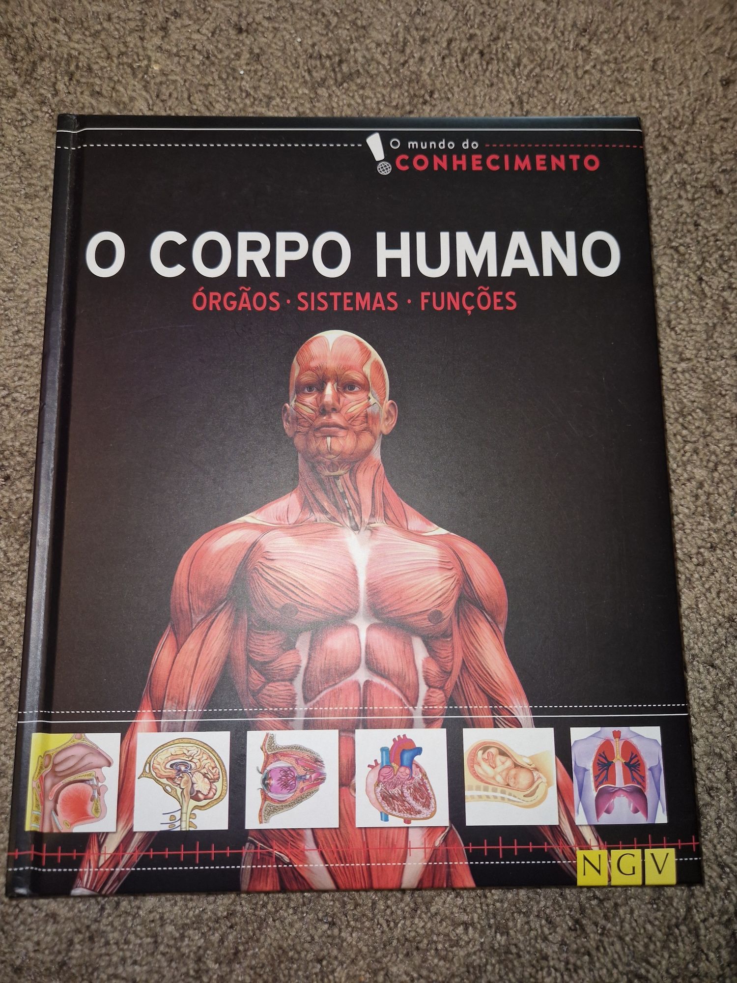 O corpo humano, conhecimento sobre medicina